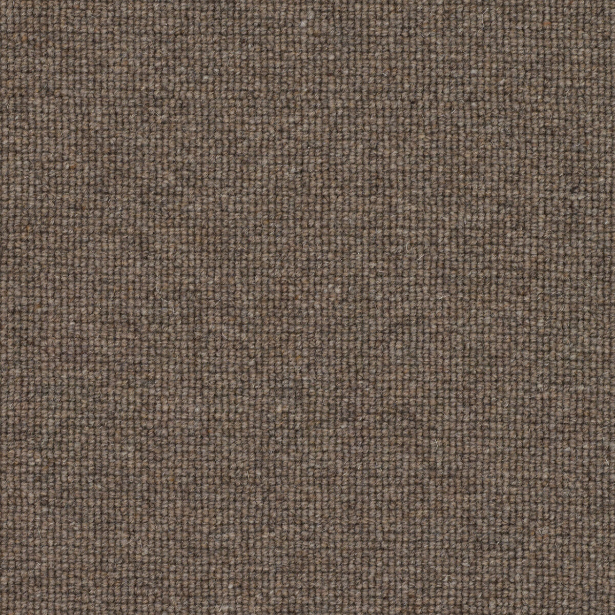 Victoria Carpets Tudor Co-ordinates Chestnut