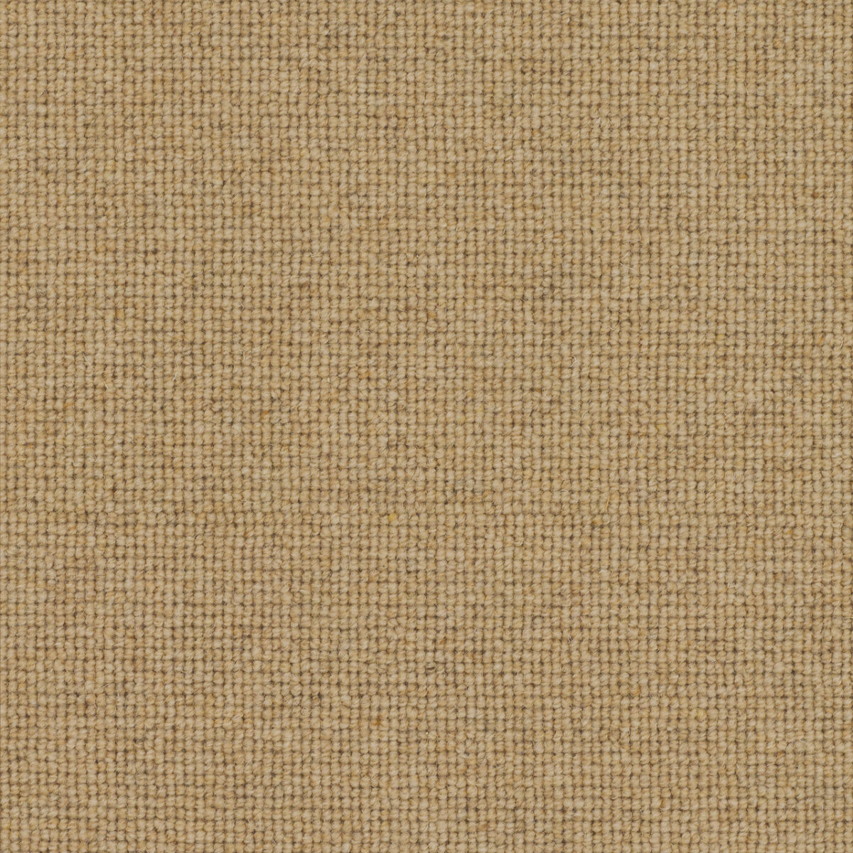 Victoria Carpets Tudor Co-ordinates Chickpea