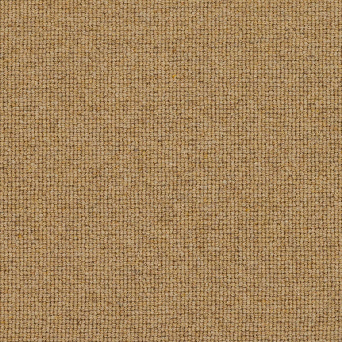 Victoria Carpets Tudor Co-ordinates Granola