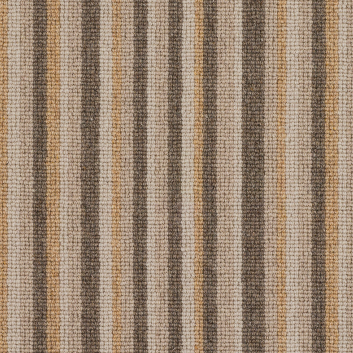 Victoria Carpets Tudor Co-ordinates Savanna