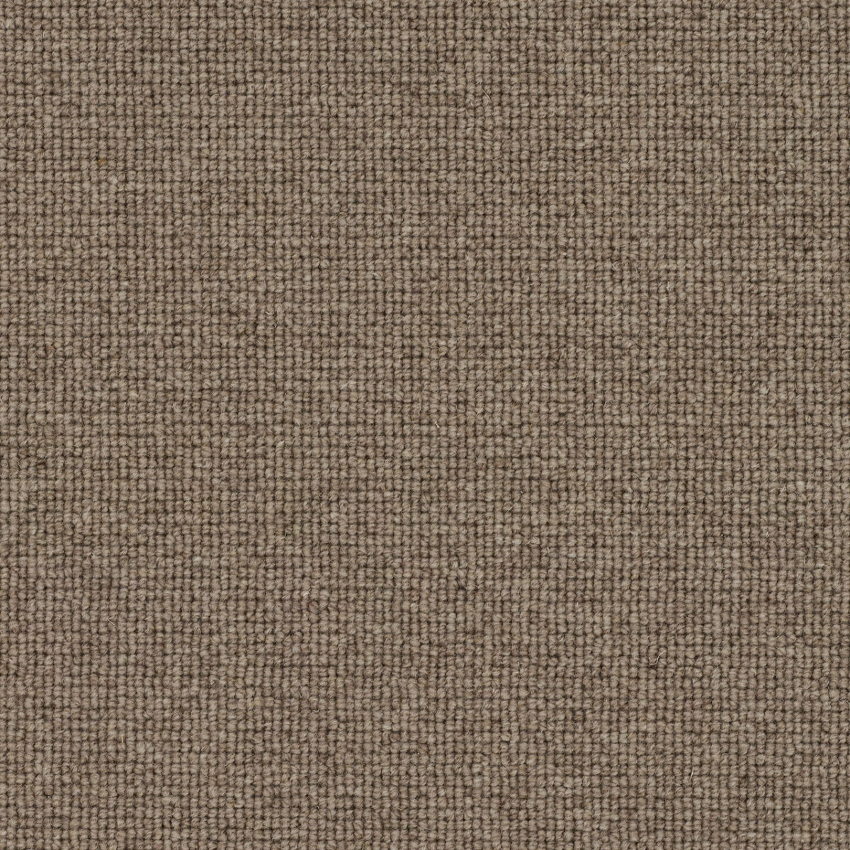 Victoria Carpets Tudor Co-ordinates Tivoli