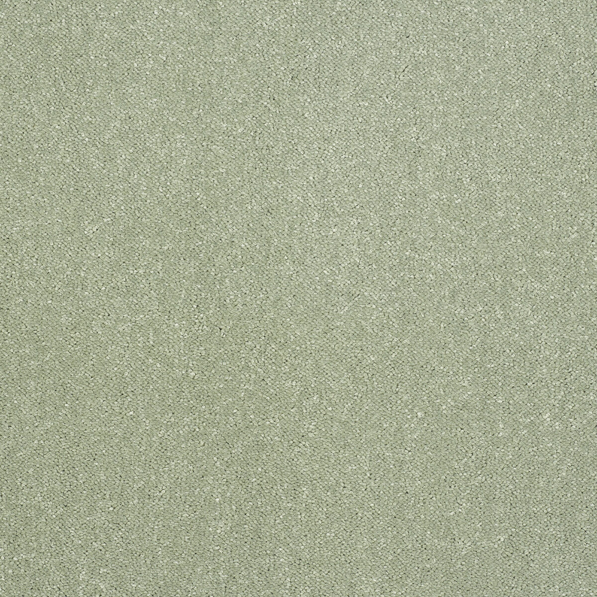 PURE ELEGANCE PUTTING GREEN