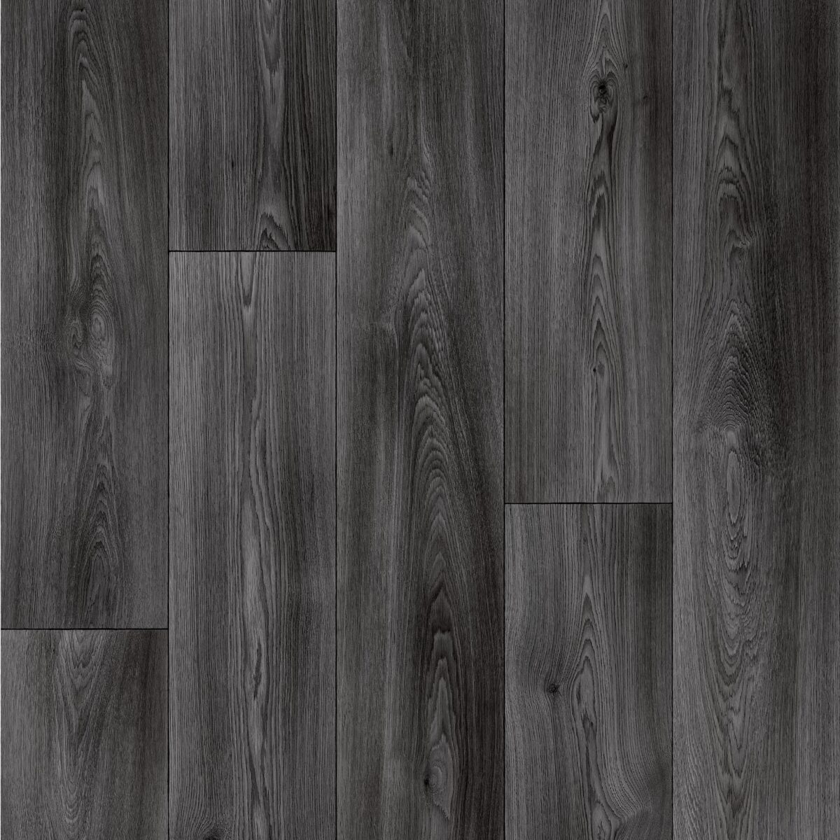 Midnight Oak