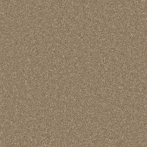 Zenith Dark Taupe