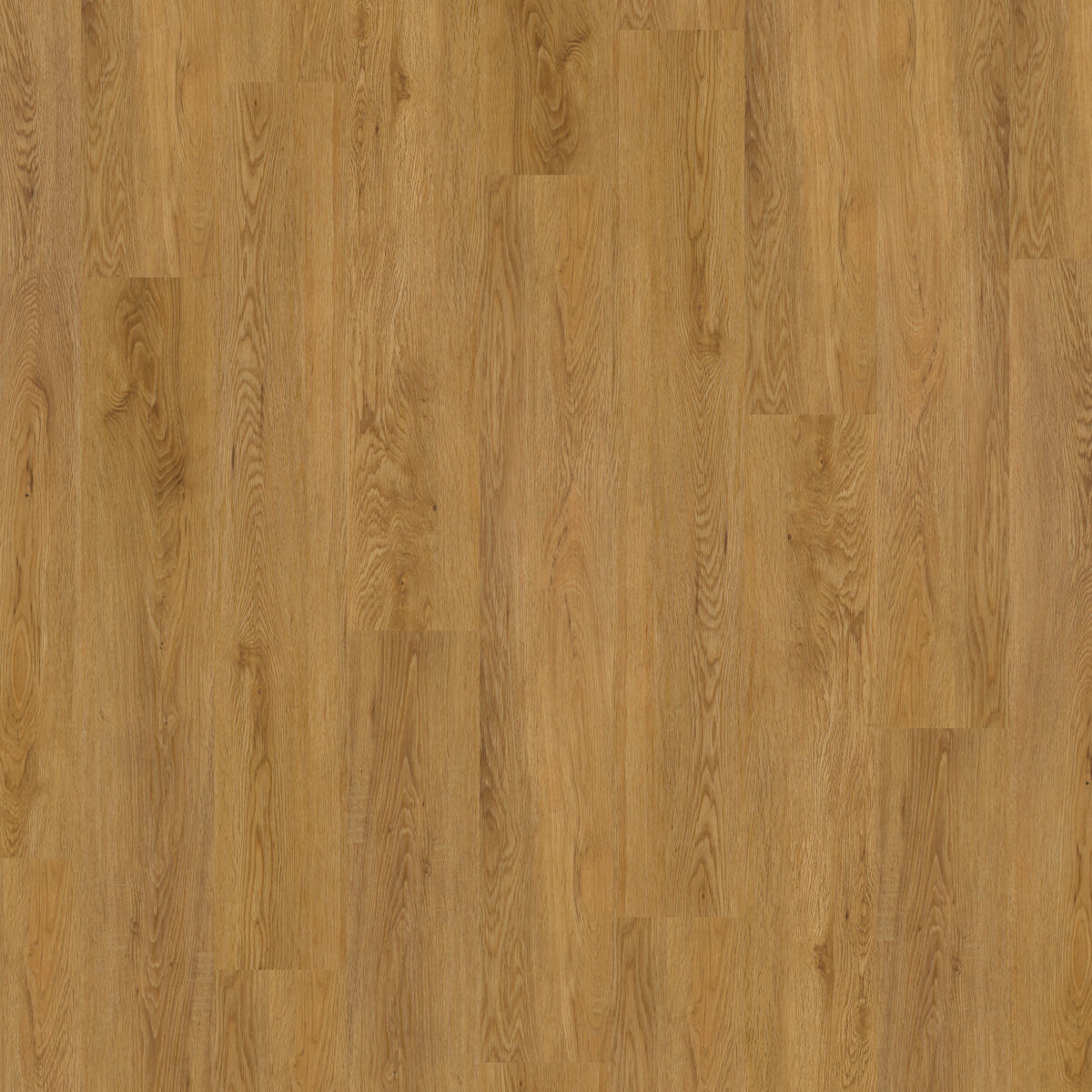 Universal Plank Almond Buff