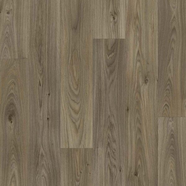 Apollo Vinyl Gambel Oak 619D