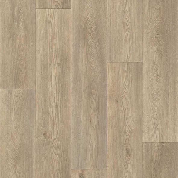 Apollo Vinyl Columbian Oak 629l
