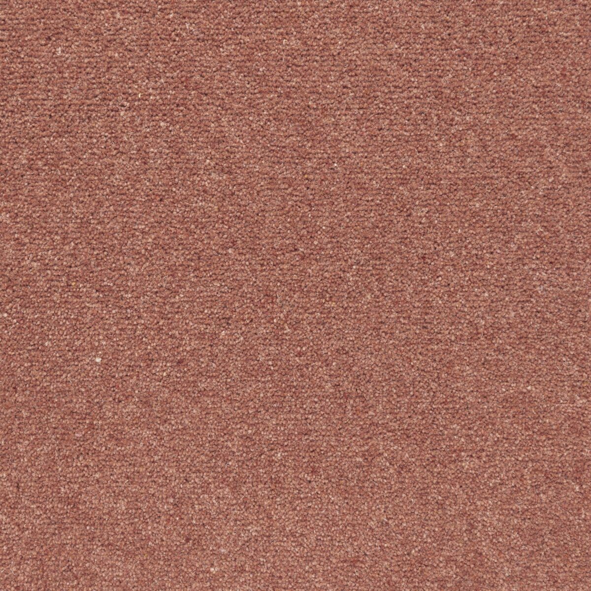Horizon