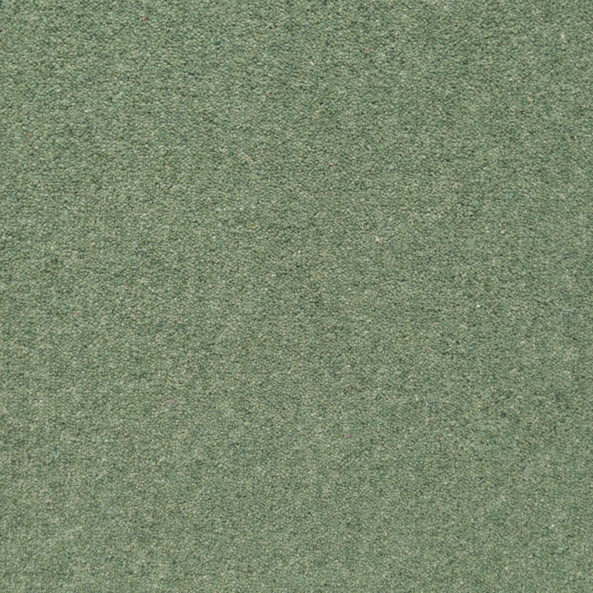 Samphire