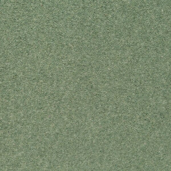 Samphire