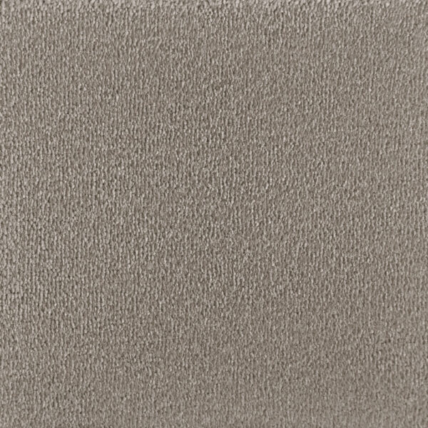 Warm Stone Silken Velvet