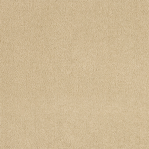 abingdon-pure-velvet-early-evening-carpet Abingdon Love Story Pure Velvet Early Evening carpet colour swatch