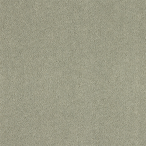 Abingdon Love Story Pure Velvet Moles Breath carpet colour swatch