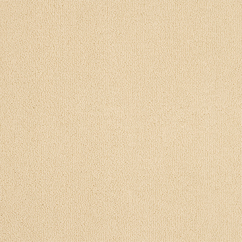 Abingdon Love Story Pure Velvet Champagne White carpet colour swatch