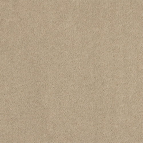 abingdon-pure-velvet-storms-coming-carpet Abingdon Love Story Pure Velvet Storms Coming carpet colour swatch