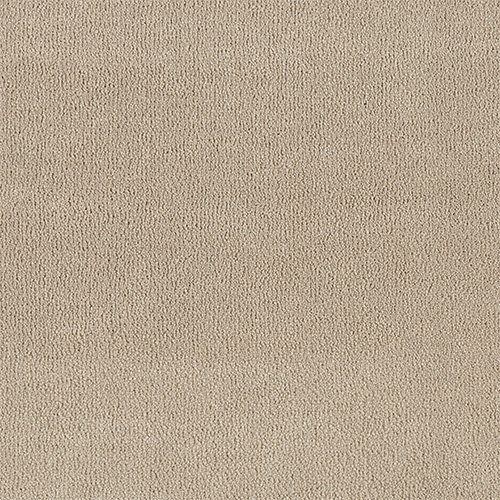abingdon-pure-velvet-moonshot-carpet Abingdon Love Story Pure Velvet Moonshot carpet colour swatch