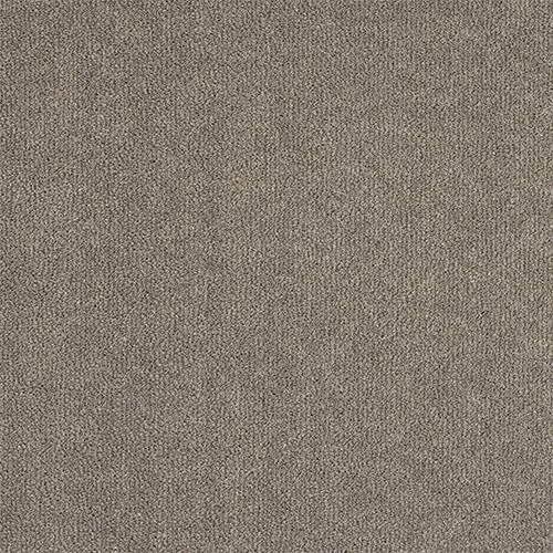 Abingdon Love Story Pure Velvet Plummet carpet colour swatch