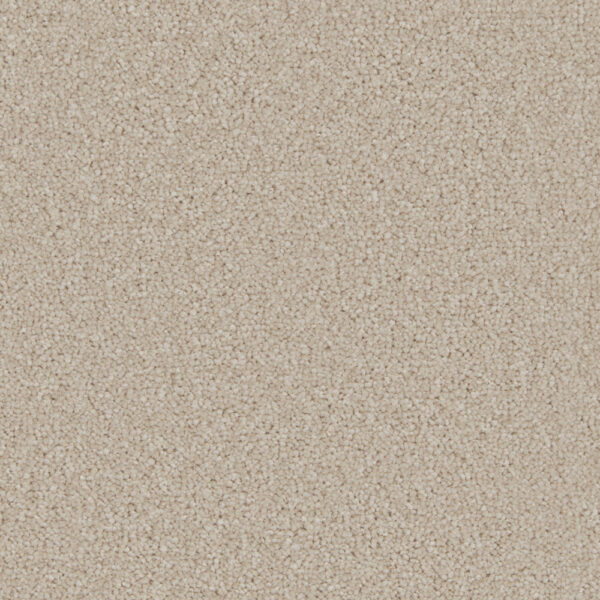 Cormar Aurora Champagne carpet swatch