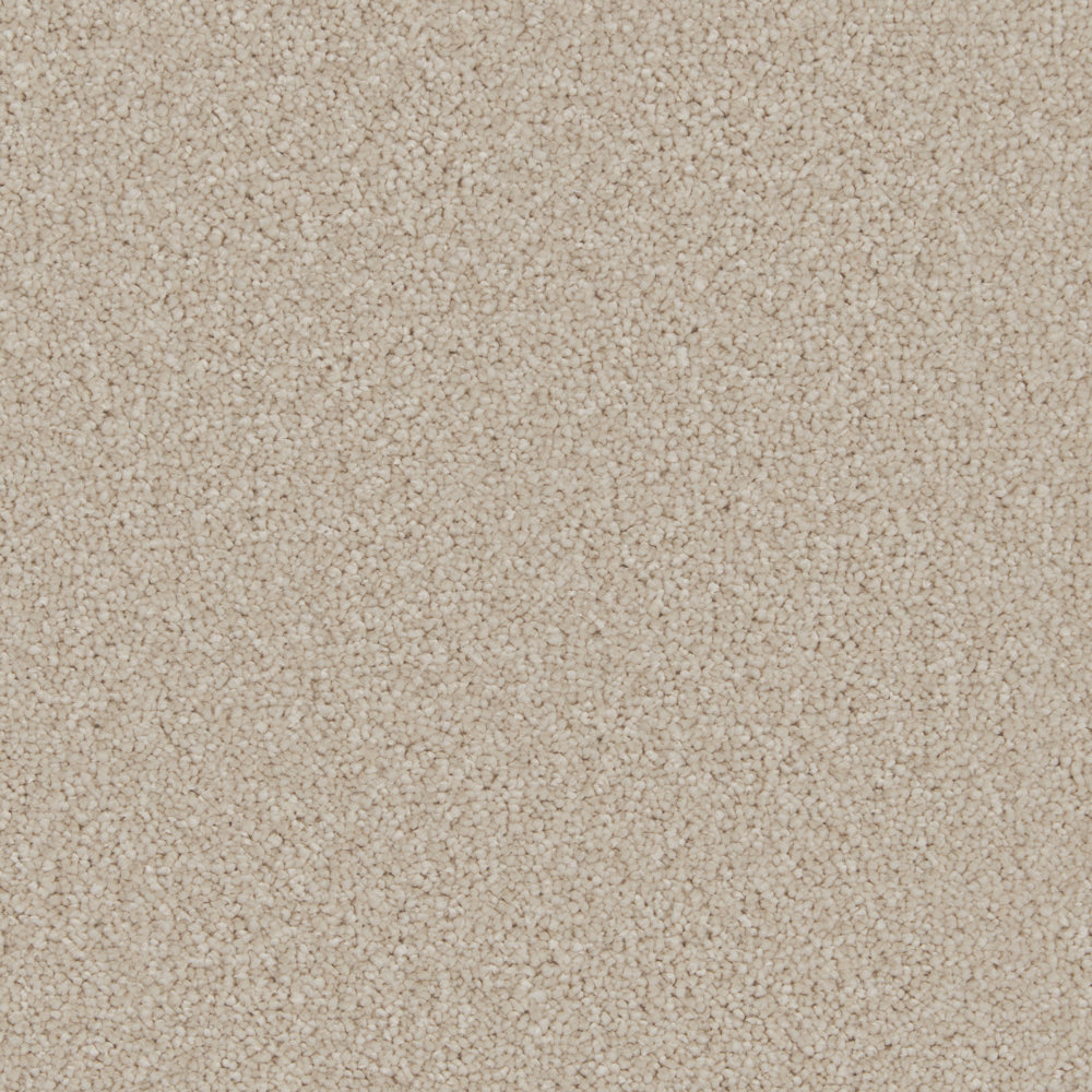 Cormar Aurora Champagne Swatch Cormar Aurora Champagne carpet swatch