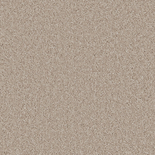 Cormar Aurora Damask carpet swatch