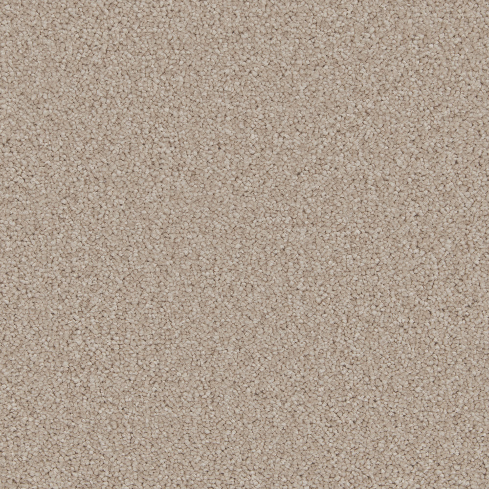 Cormar Aurora Damask Swatch Cormar Aurora Damask carpet swatch