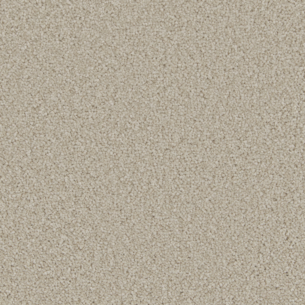 Cormar Aurora Limed Oak Swatch Cormar Aurora Limed Oak carpet swatch