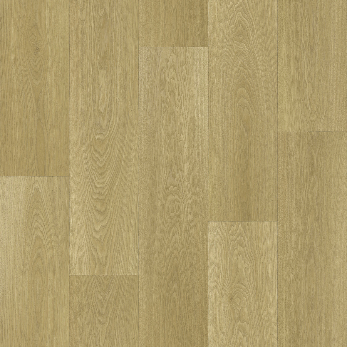 contract-design-plus-manor-oak-vinyl-flooring Contract Design Plus Manor Oak wood-effect plank sheet vinyl flooring