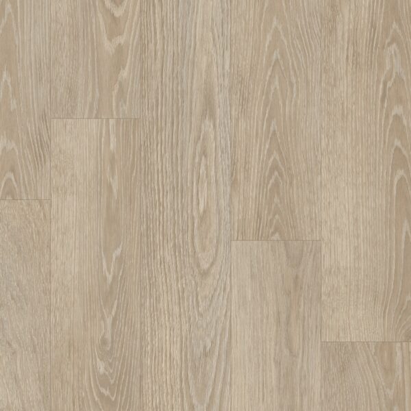 Lasso Forest Oak wood-effect plank sheet vinyl flooring