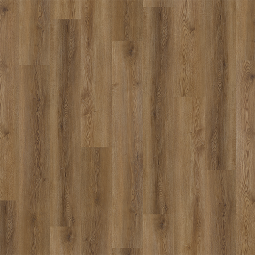 Universal Thirty Planks