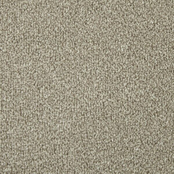 Cormar Apollo Elite Pretzel carpet swatch