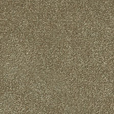 Westex Silken Velvet carpet in Aniseed