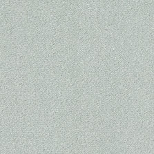 Westex Silken Velvet carpet in Hurricane