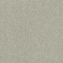 Westex Silken Velvet carpet in Smoulder