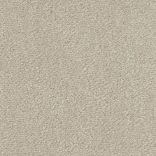 Westex Silken Velvet carpet in Turtle Dove