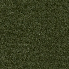 Westex Westend Velvet carpet in Avocado