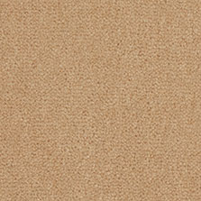 Westex Westend Velvet carpet in Butternut