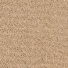 Westex Westend Velvet carpet in Champagne