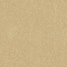 Westex Westend Velvet carpet in Cider