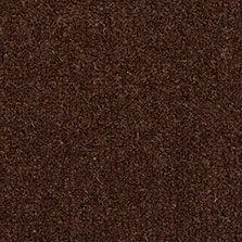 Westex Westend Velvet carpet in Espresso