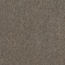 Westex Westend Velvet carpet in Flint