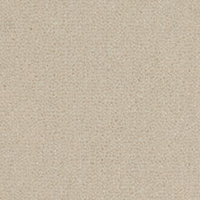 Westex Westend Velvet carpet in Ivory