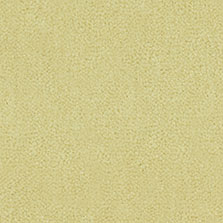 Westex Westend Velvet carpet in Jasmine