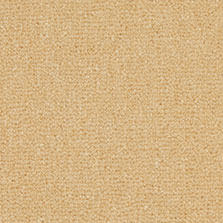 Westex Westend Velvet carpet in Madeira