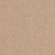 Westex Westend Velvet carpet in Mango