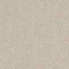 Westex Westend Velvet carpet in Manor Grey