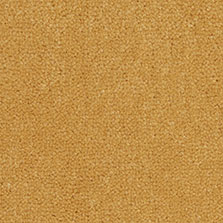 Westex Westend Velvet carpet in Mead