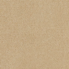 Westex Westend Velvet carpet in Panama