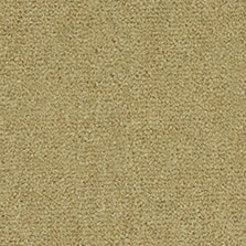 Westex Westend Velvet carpet in Pecan