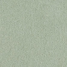 Westex Westend Velvet carpet in Petal