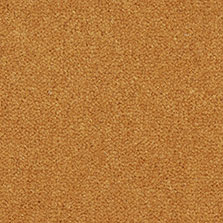 Westex Westend Velvet carpet in Pumpkin